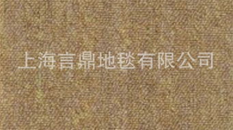 言鼎地毯 從精選產(chǎn)品到專業(yè)輔料，打造卓越店鋪體驗(yàn)